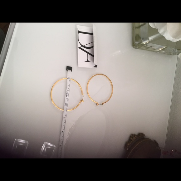 Diane von Furstenberg Hoop Earrings - Picture 4 of 6